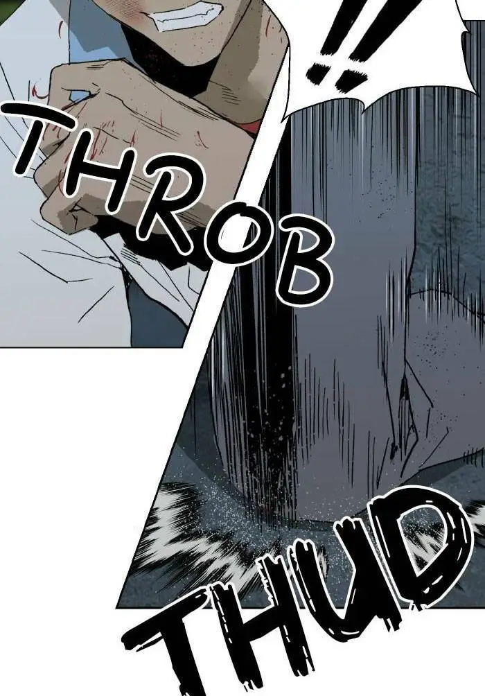 Chapter 213