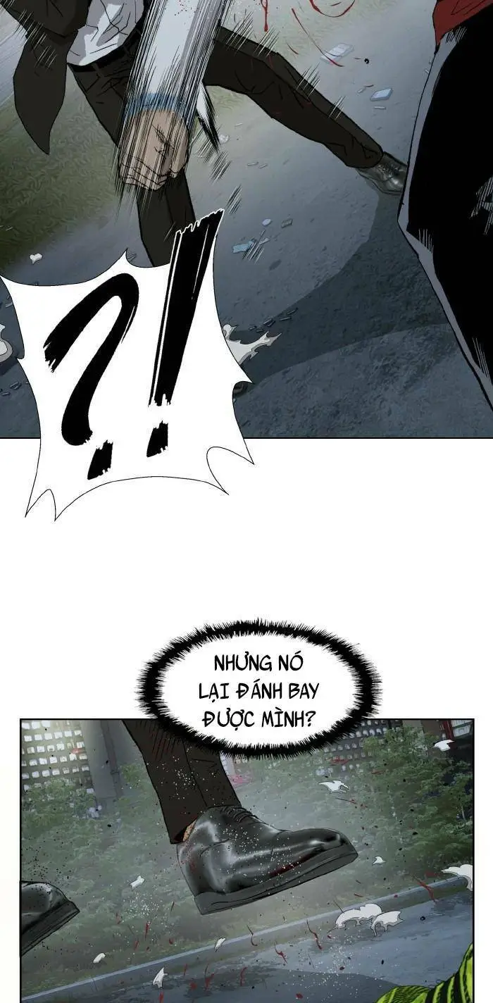 Chapter 213