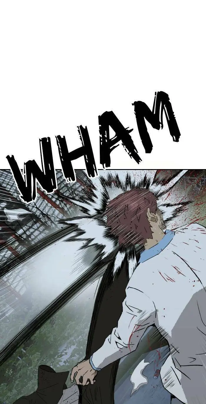Chapter 213