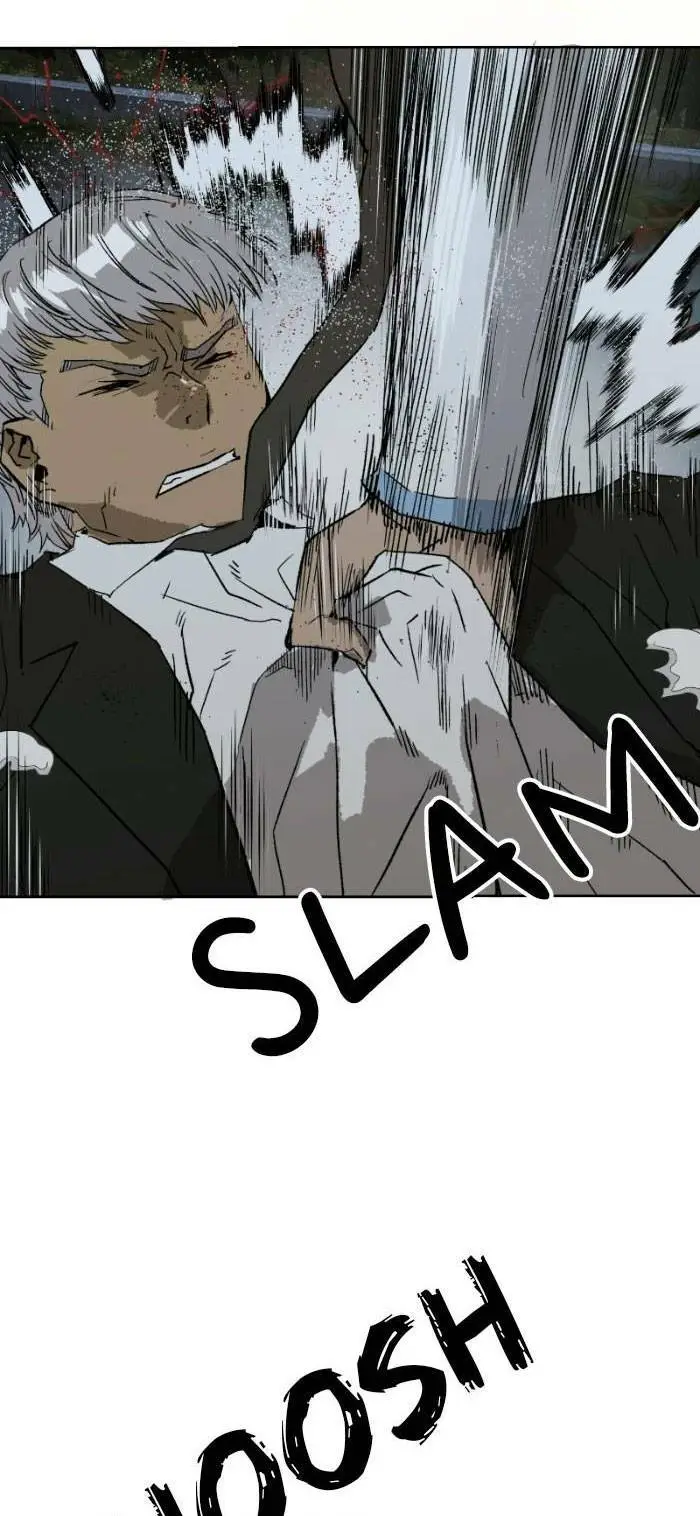 Chapter 213