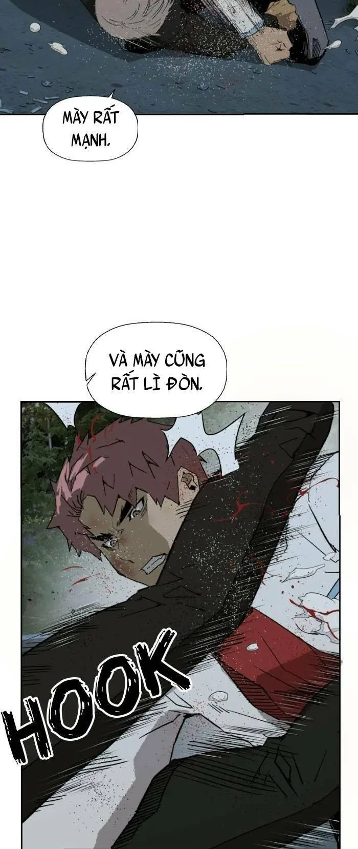 Chapter 213