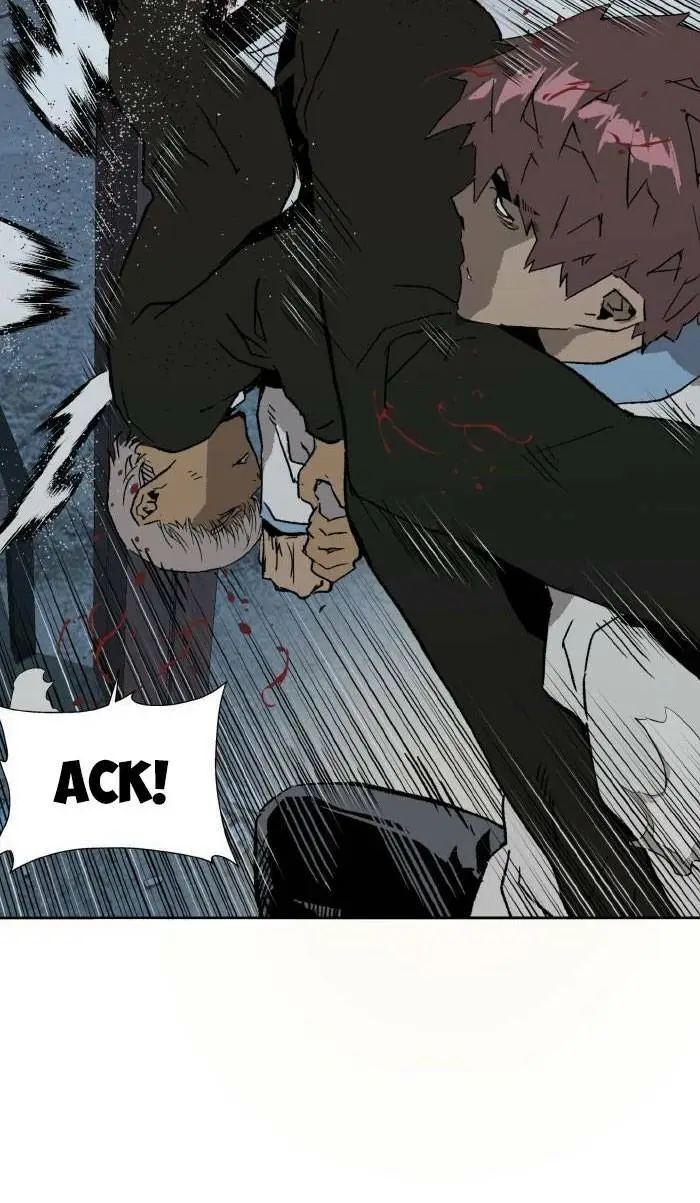 Chapter 213
