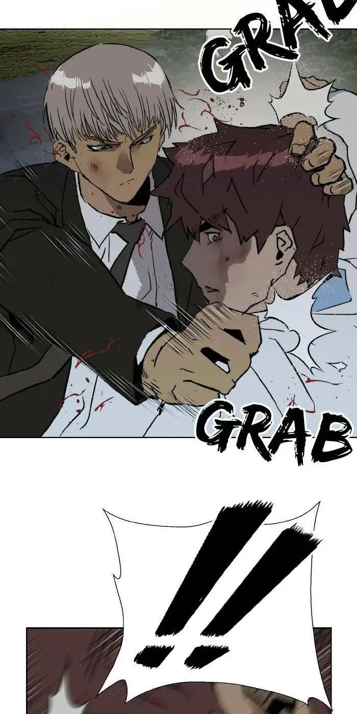 Chapter 213