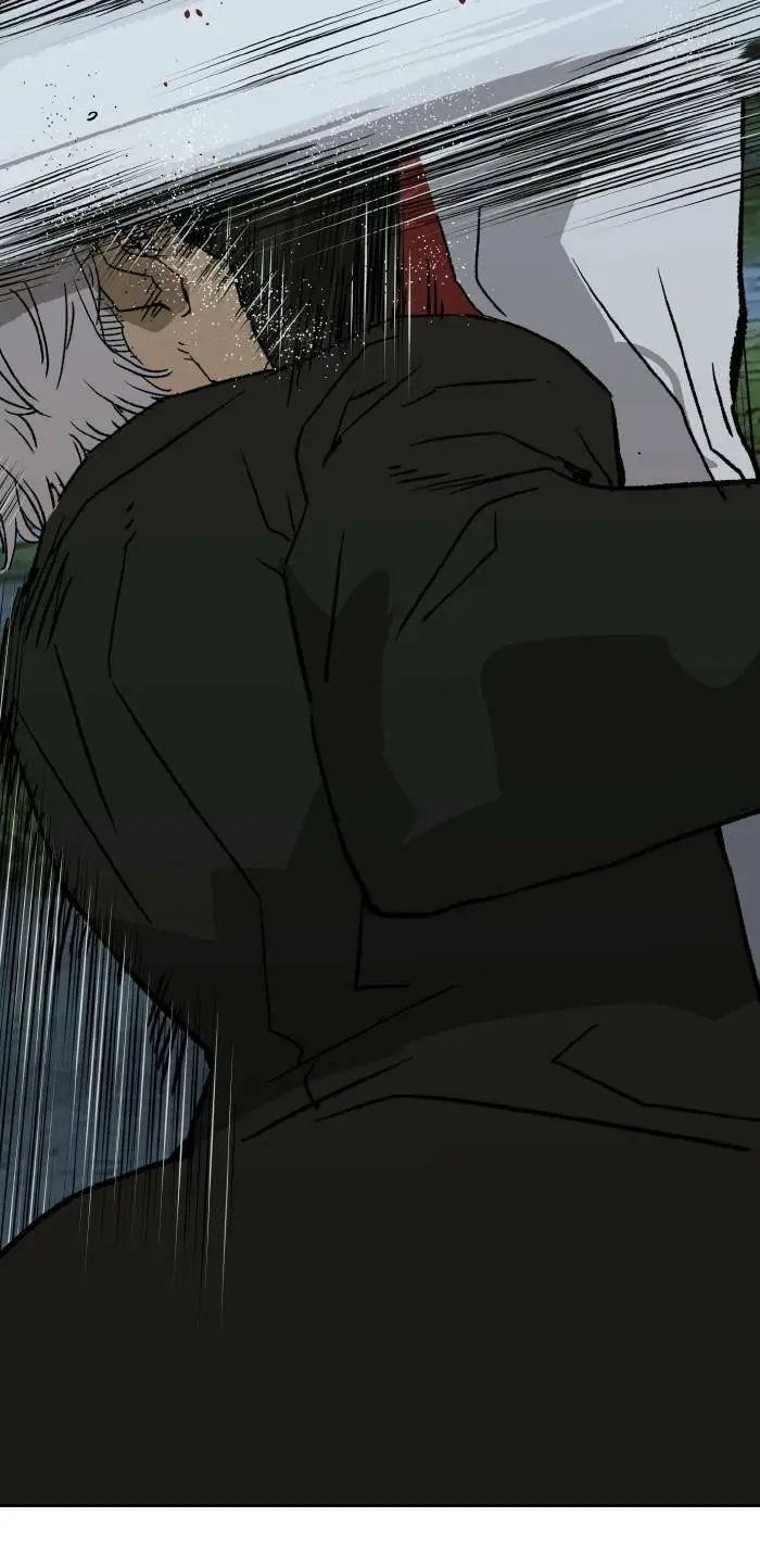 Chapter 213