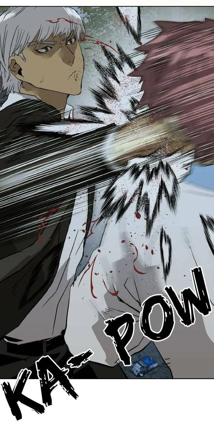 Chapter 213