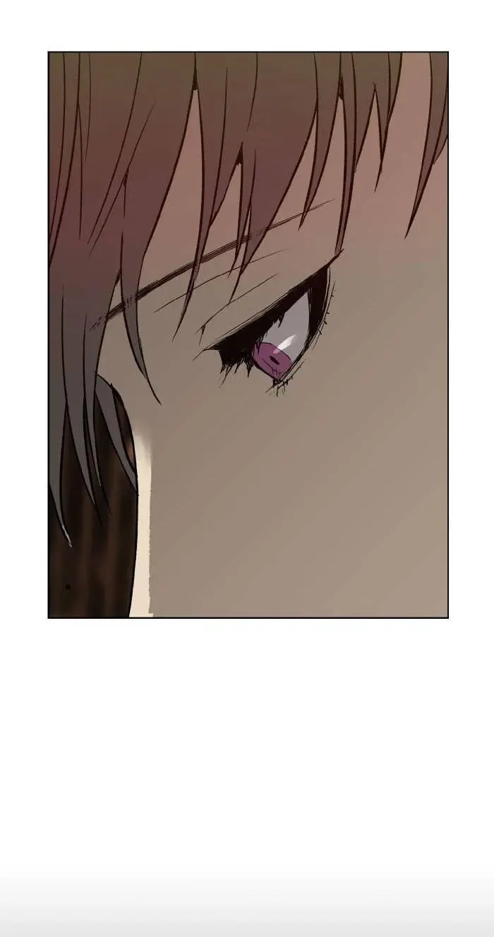 Chapter 211