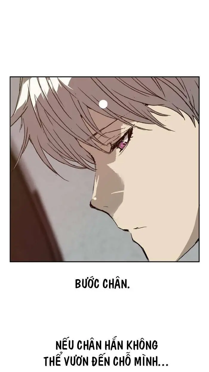 Chapter 210