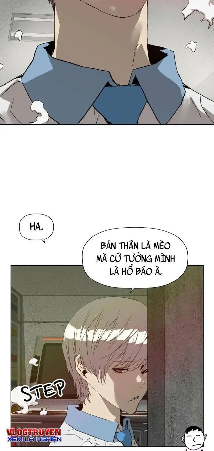 Chapter 210