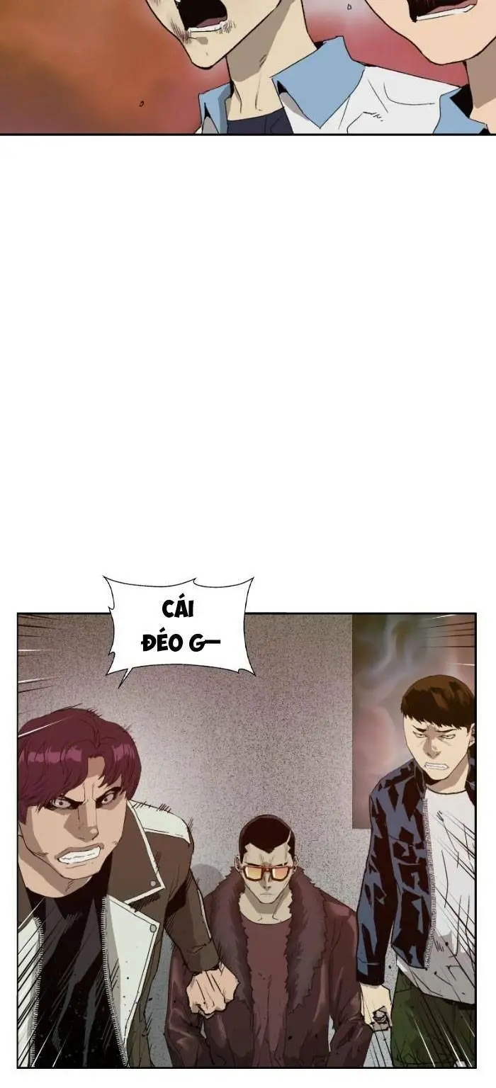 Chapter 209