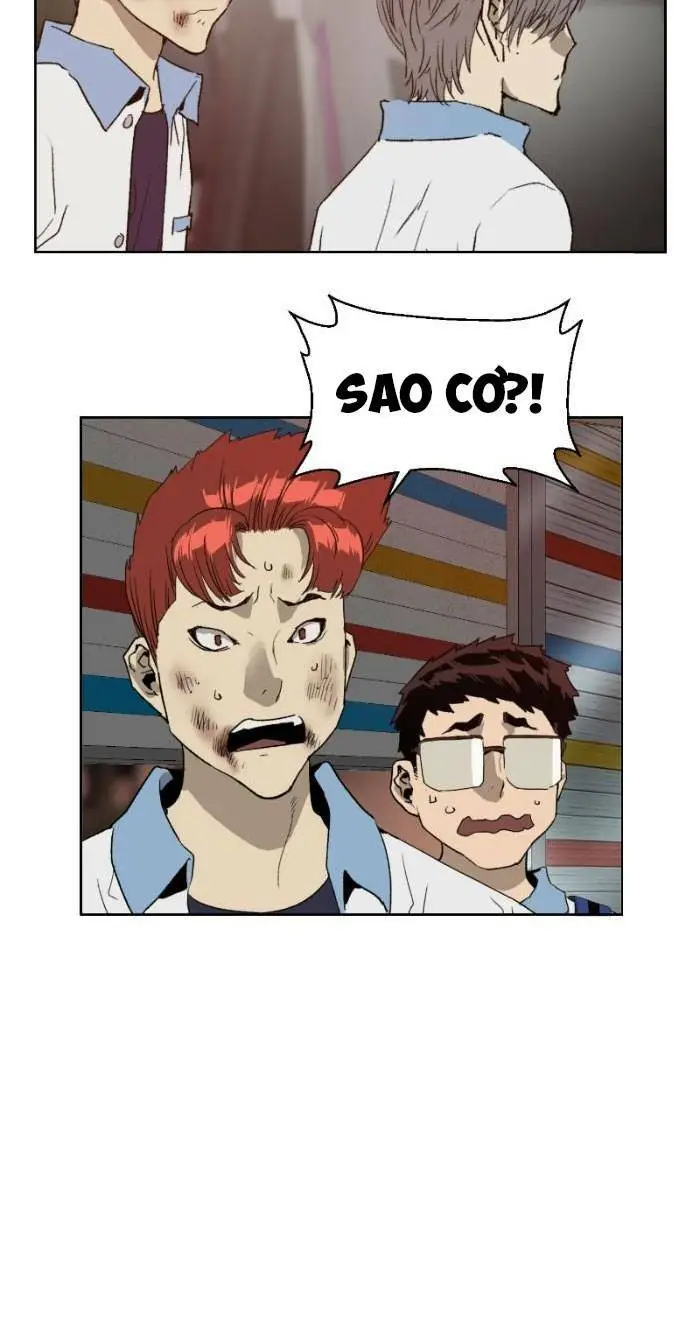 Chapter 209