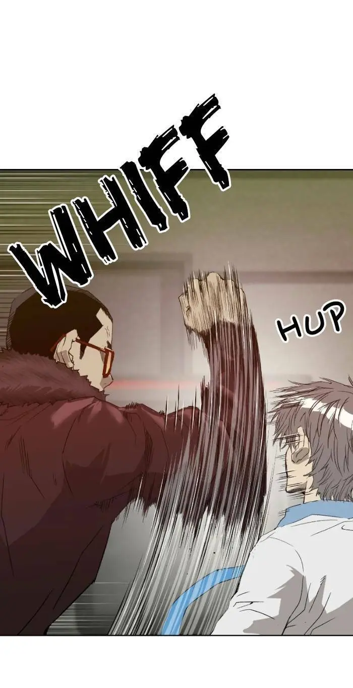 Chapter 209
