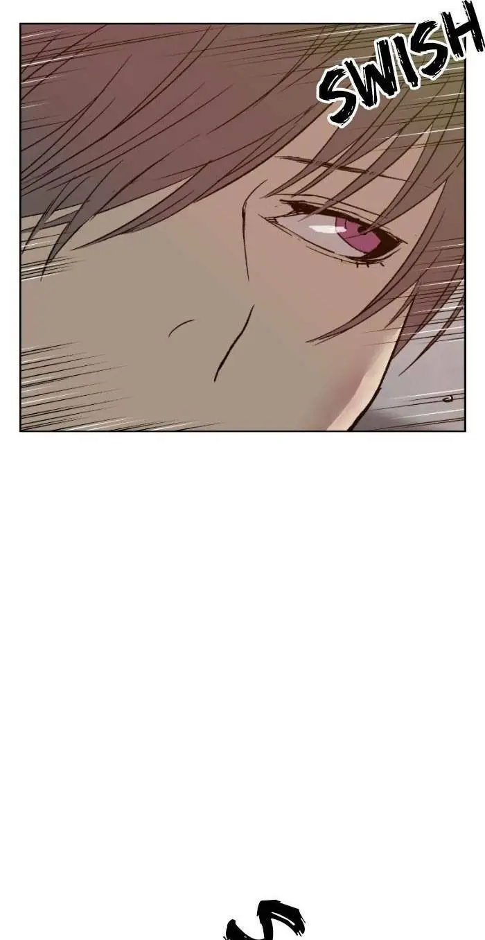 Chapter 209