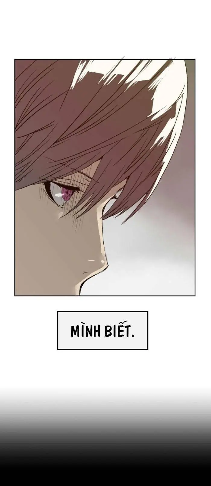 Chapter 209