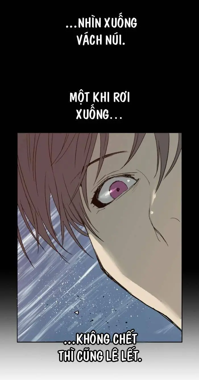 Chapter 209