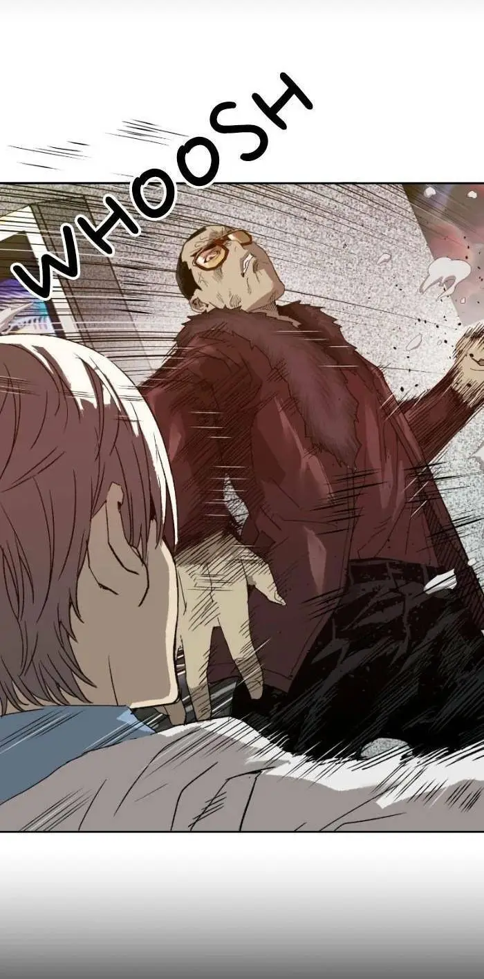Chapter 209