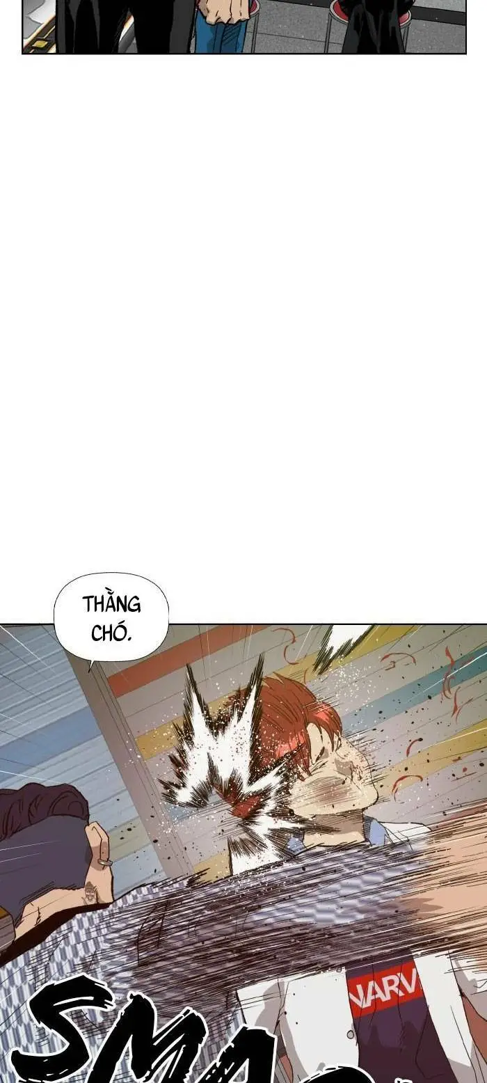 Chapter 208