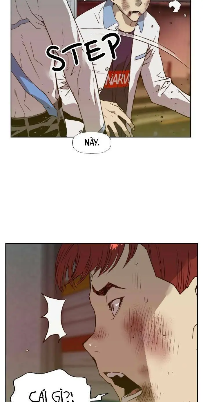 Chapter 208