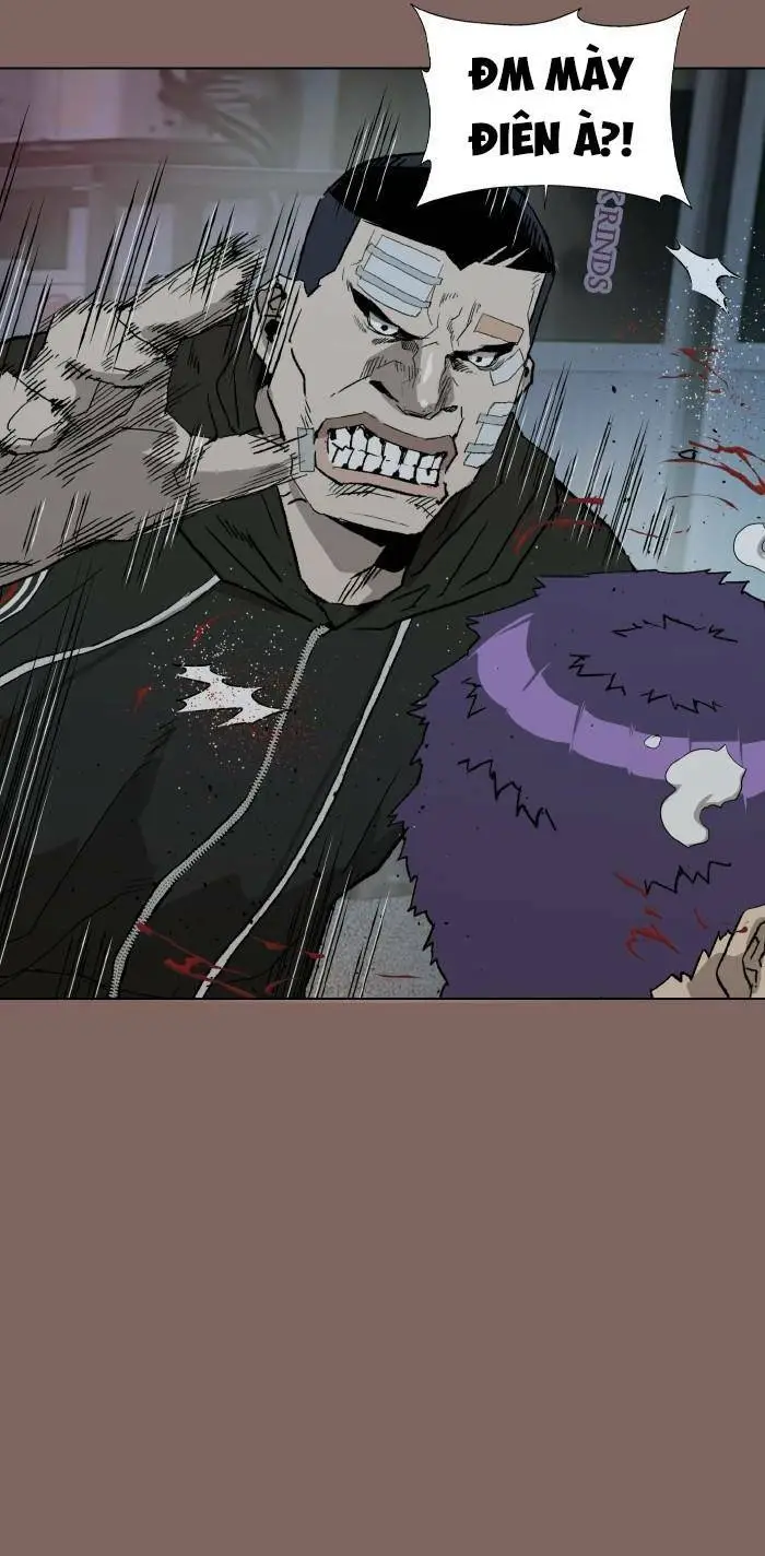 Chapter 207