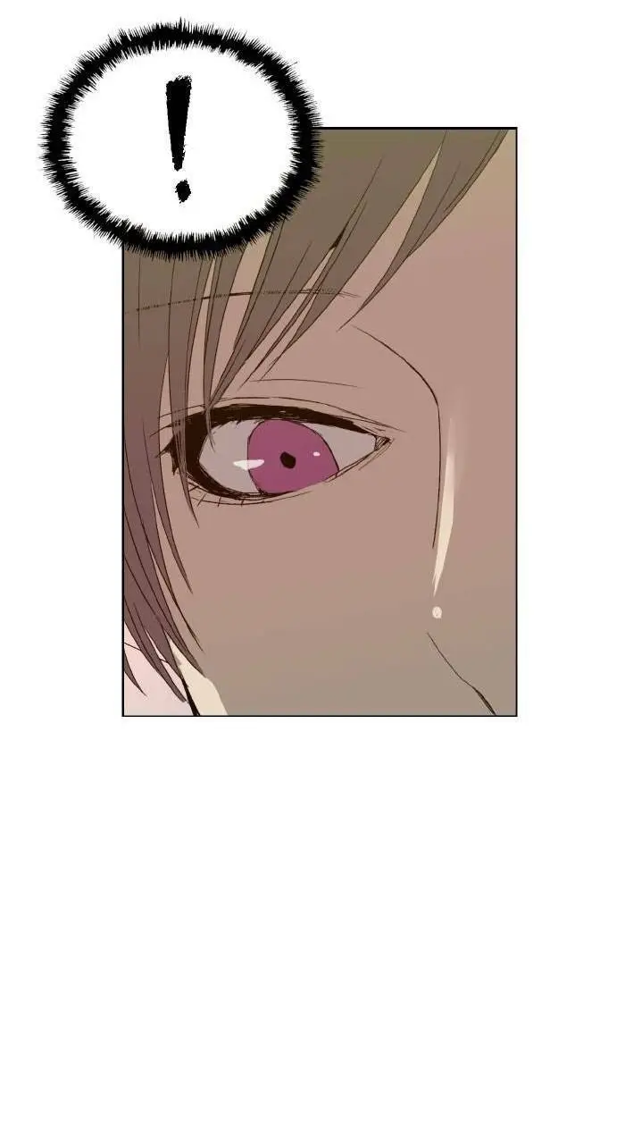 Chapter 206