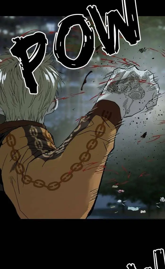 Chapter 204