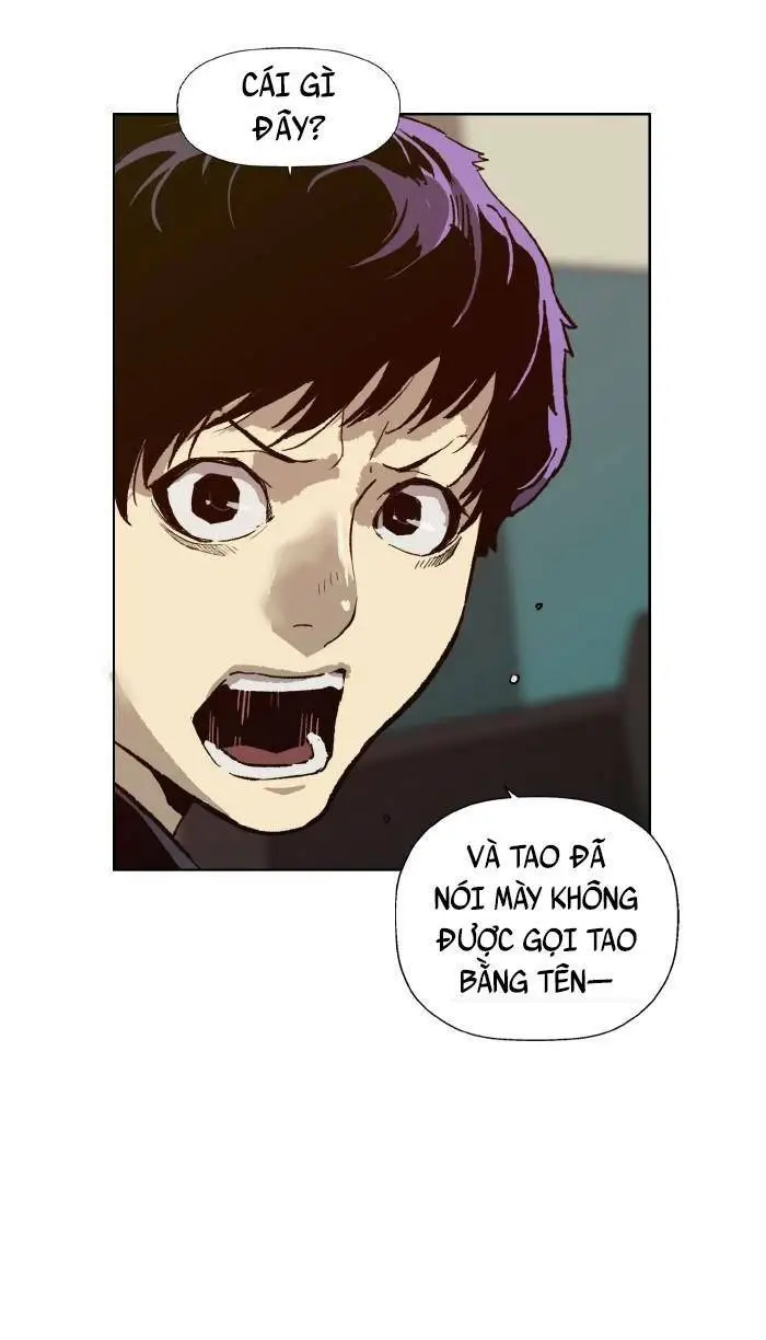Chapter 203