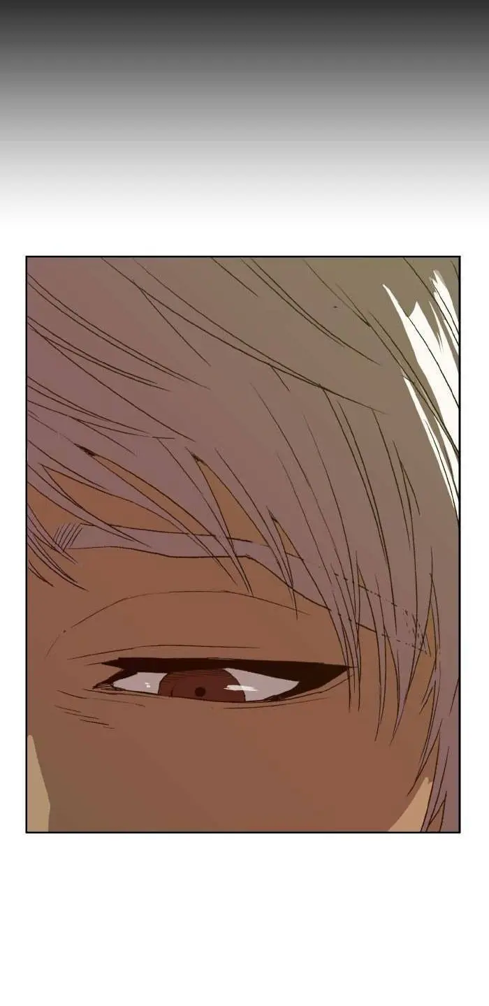 Chapter 202