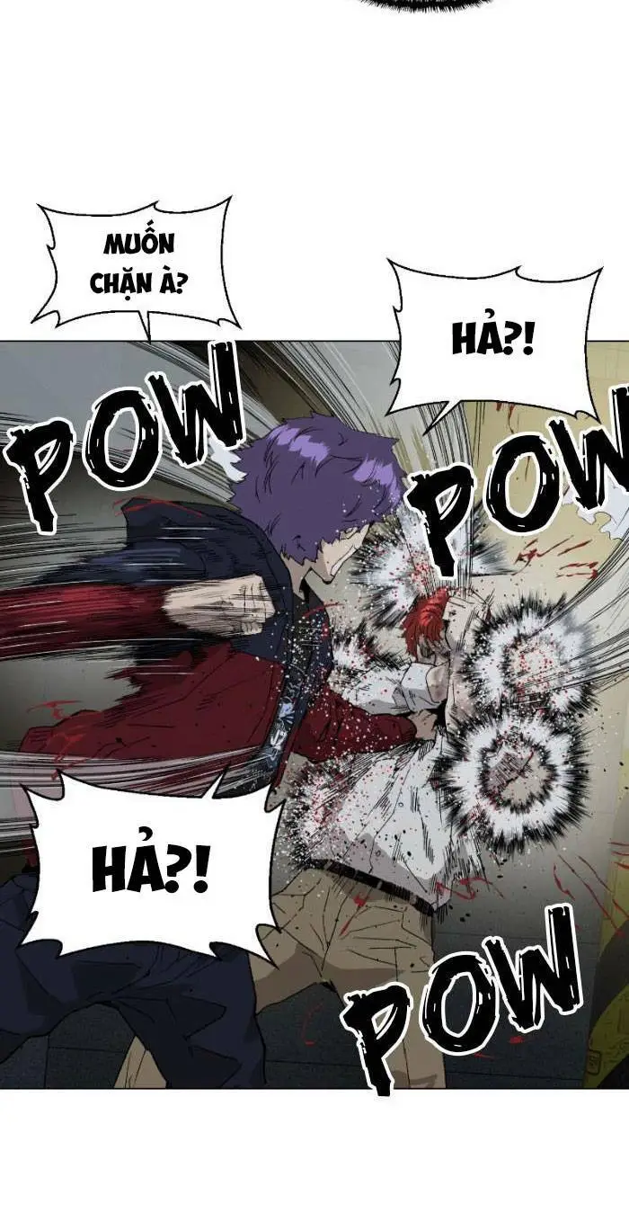 Chapter 196