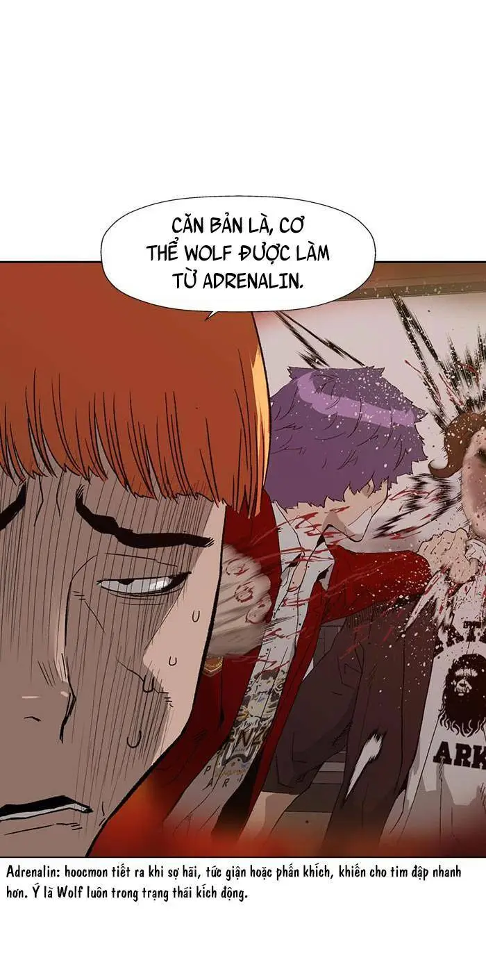 Chapter 195
