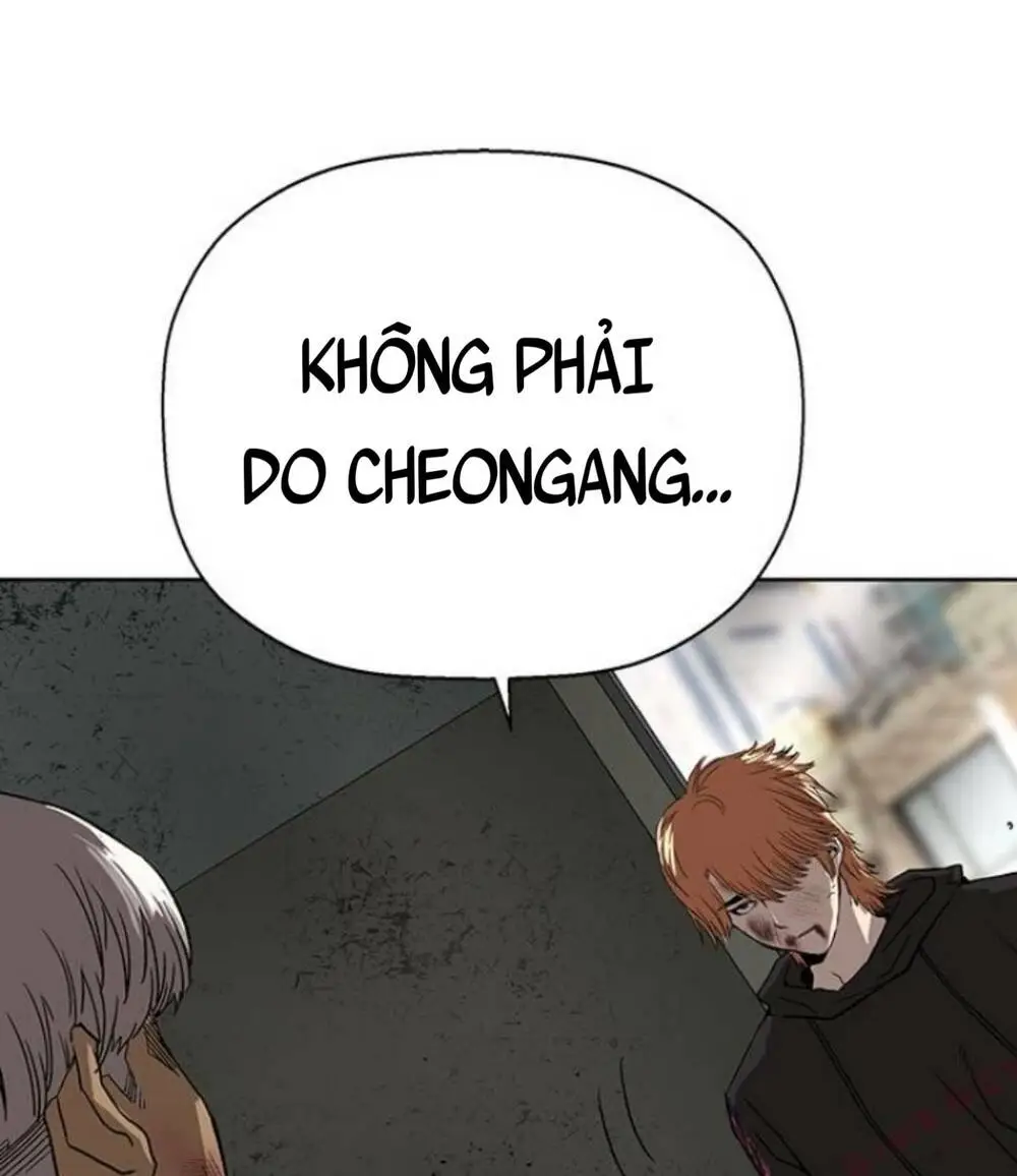 Chapter 172