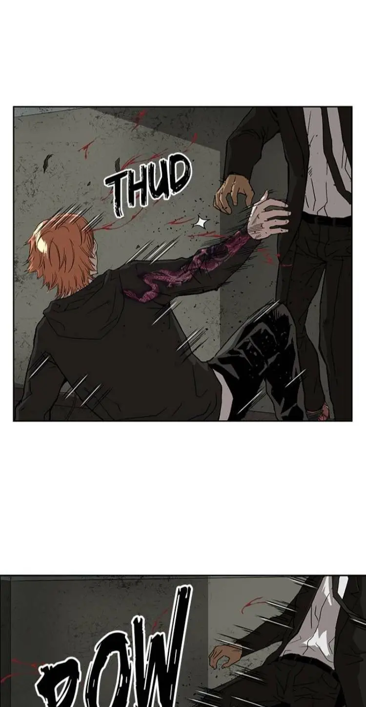 Chapter 172