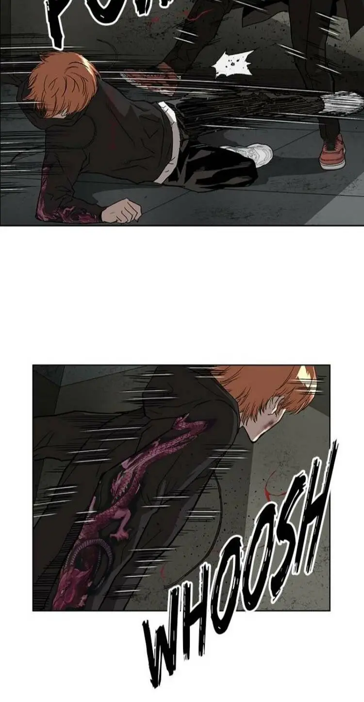 Chapter 172