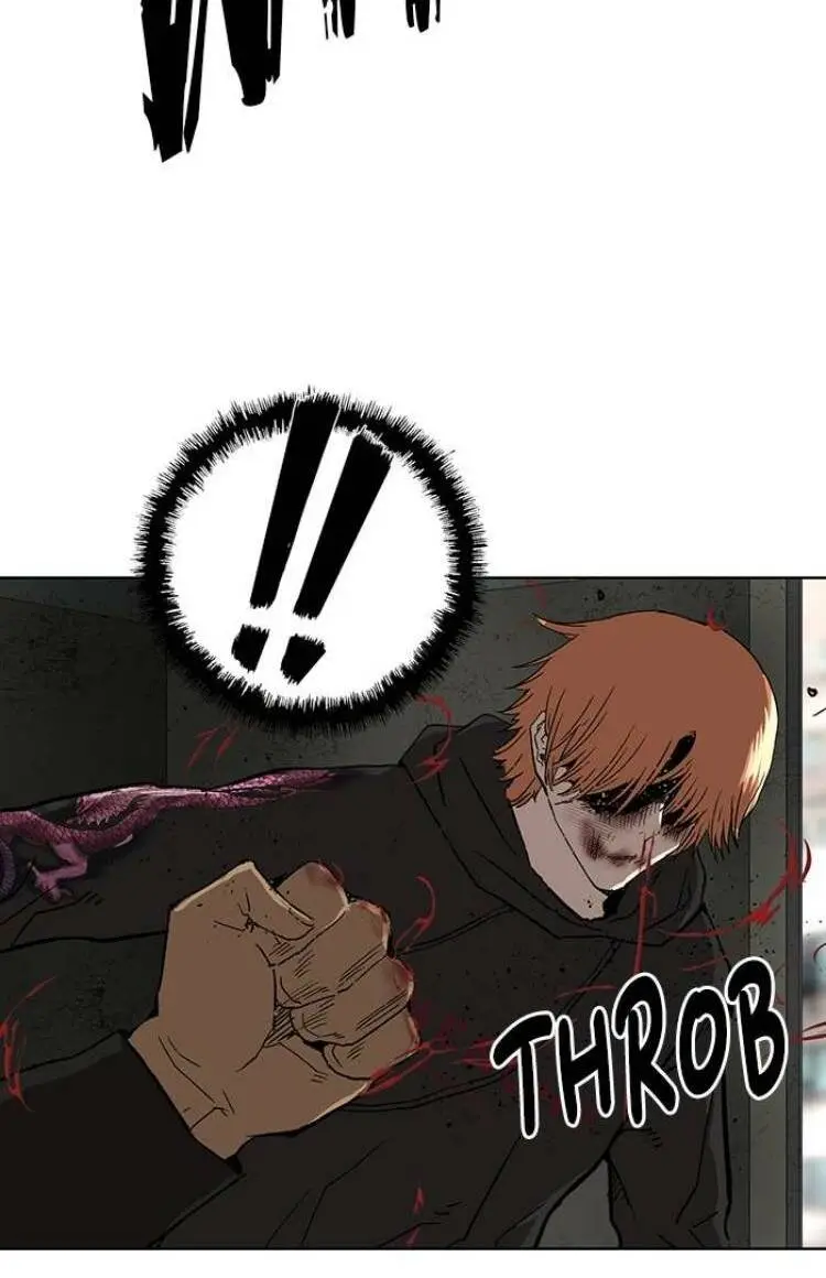 Chapter 172