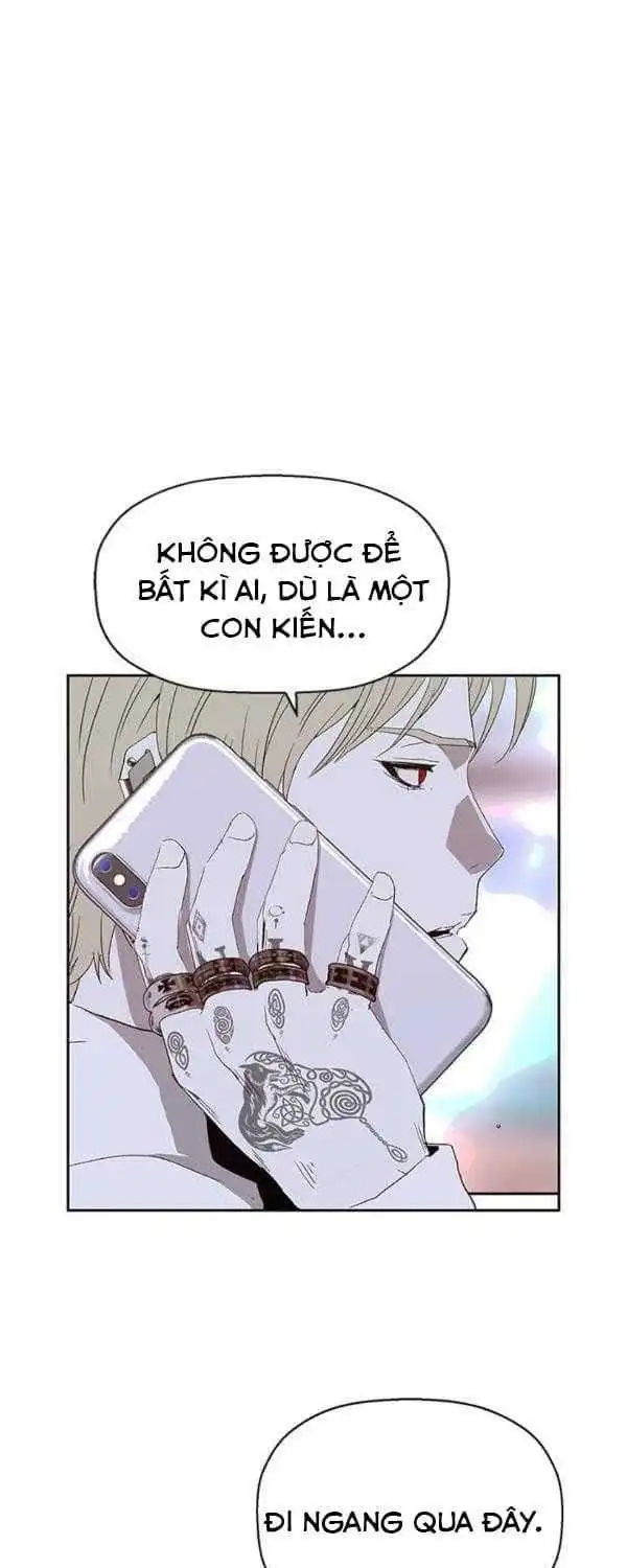 Chapter 165