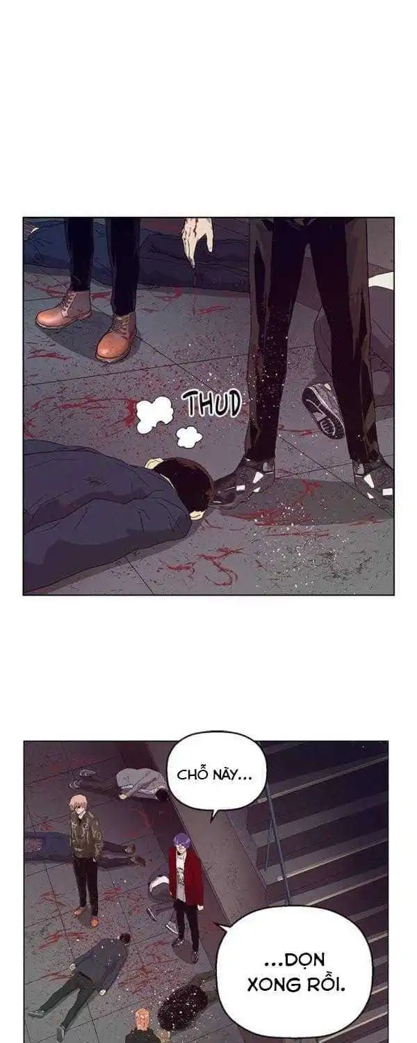 Chapter 165