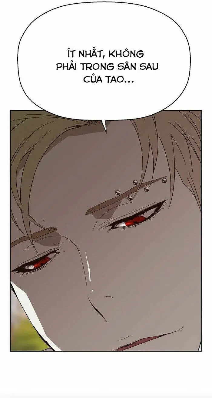 Chapter 164