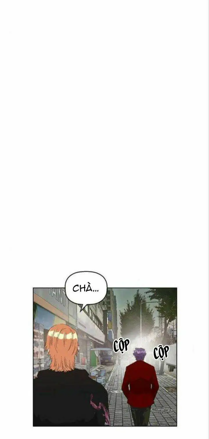 Chapter 161