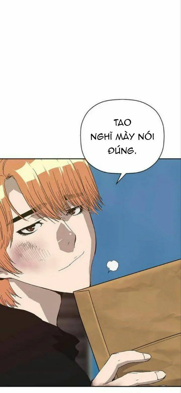 Chapter 161