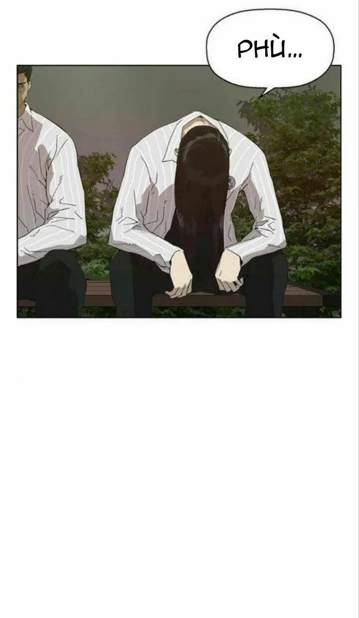 Chapter 161