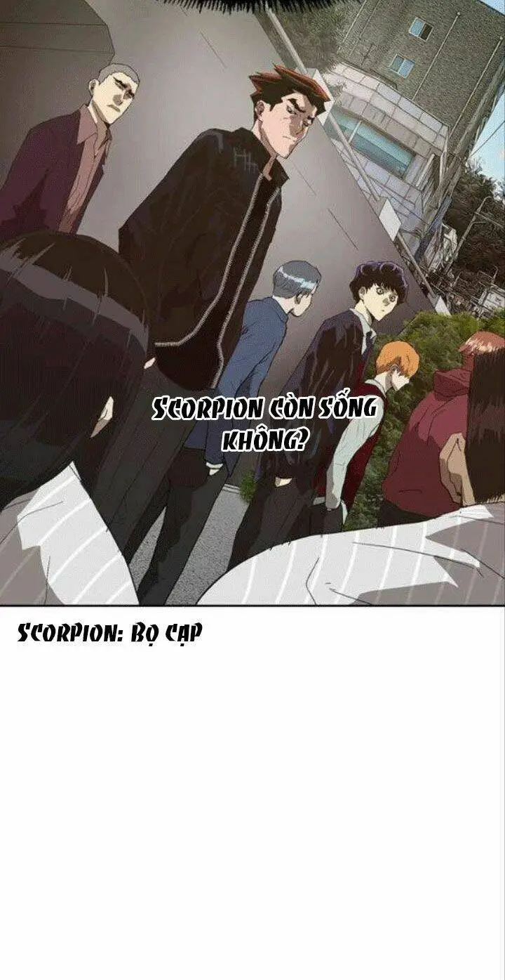 Chapter 161