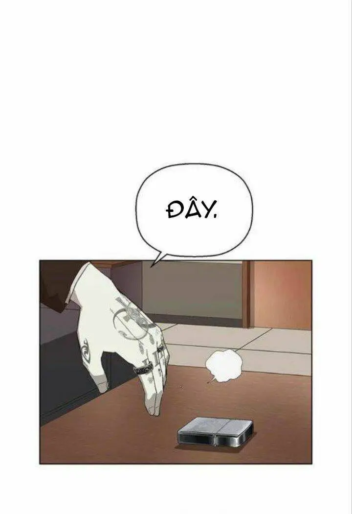 Chapter 161