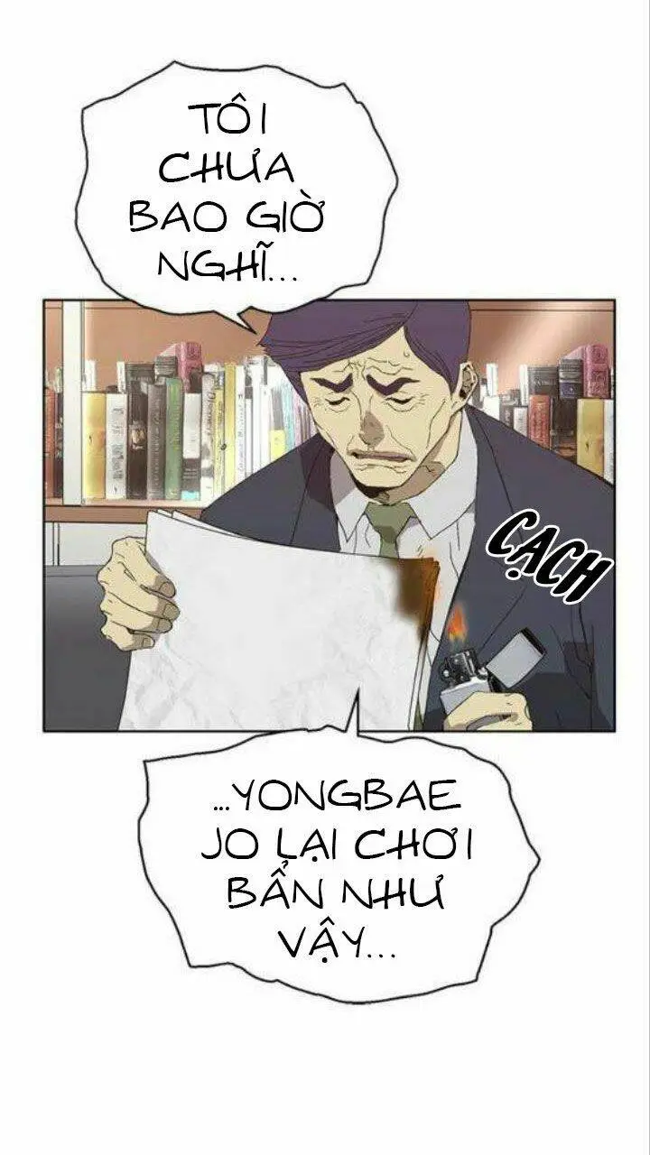 Chapter 161