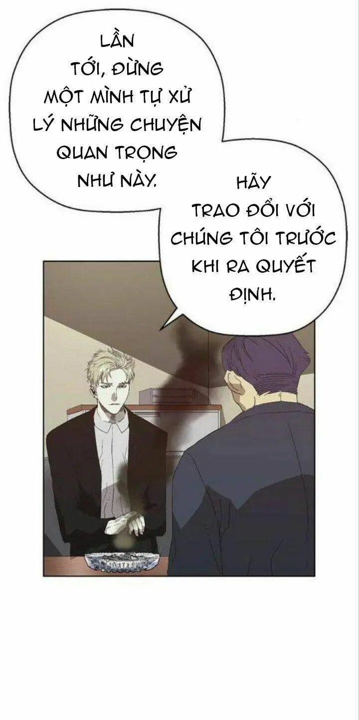 Chapter 161