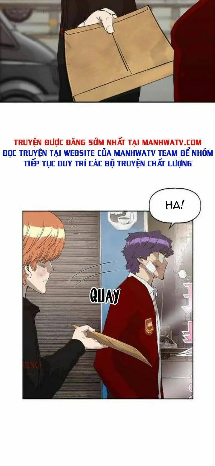 Chapter 161