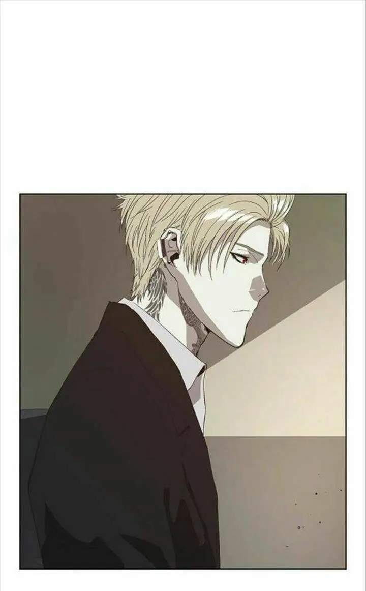 Chapter 161