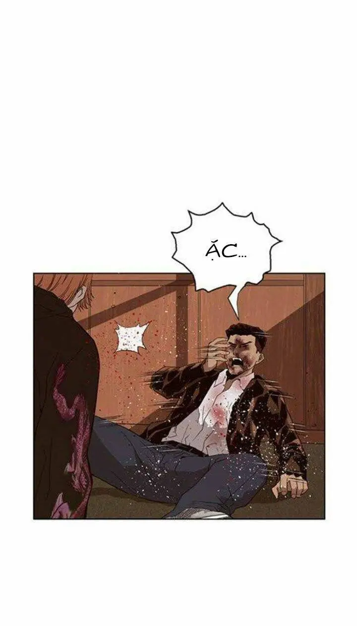 Chapter 160