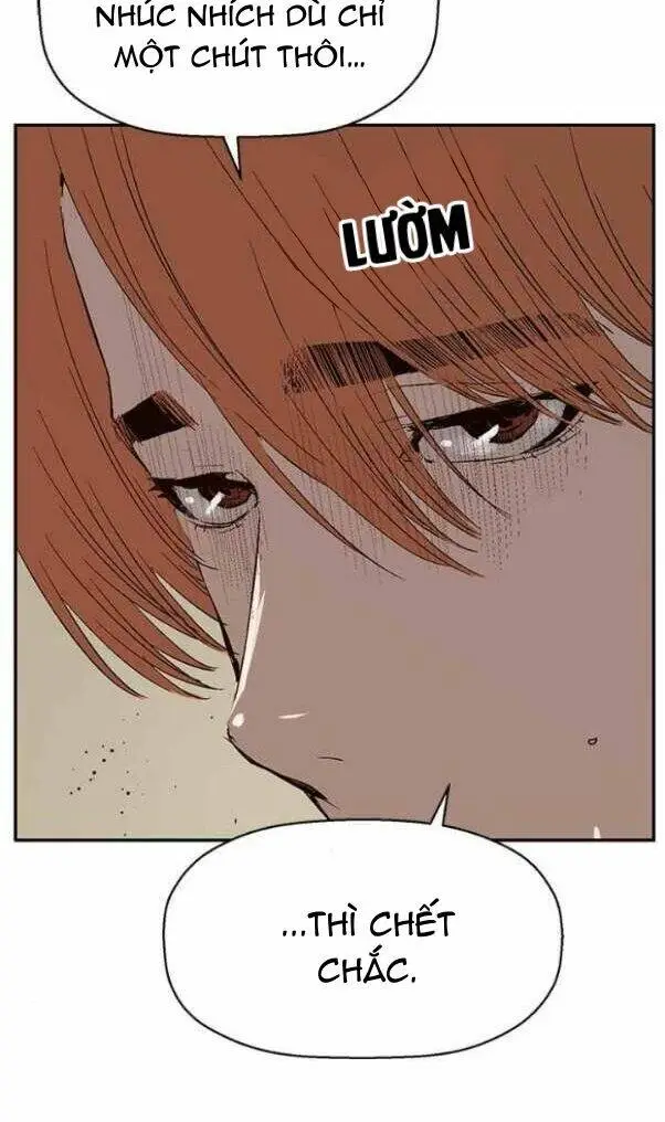 Chapter 158