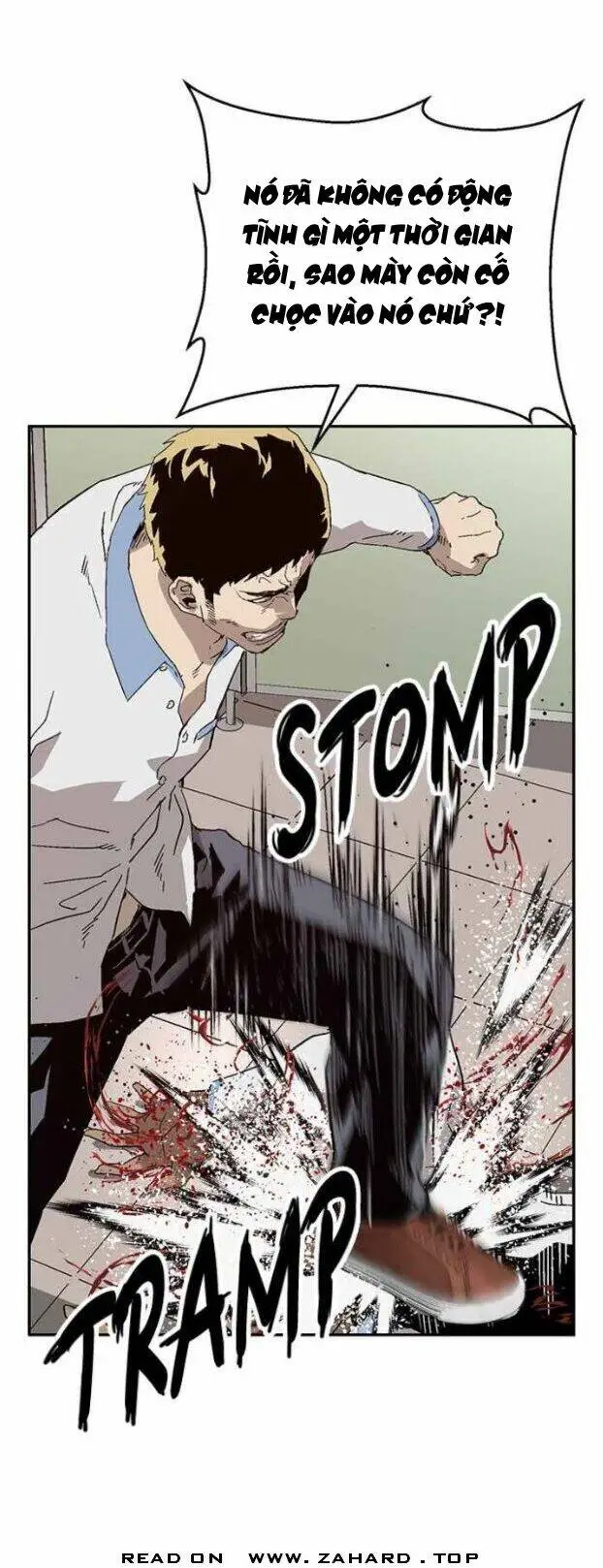 Chapter 156