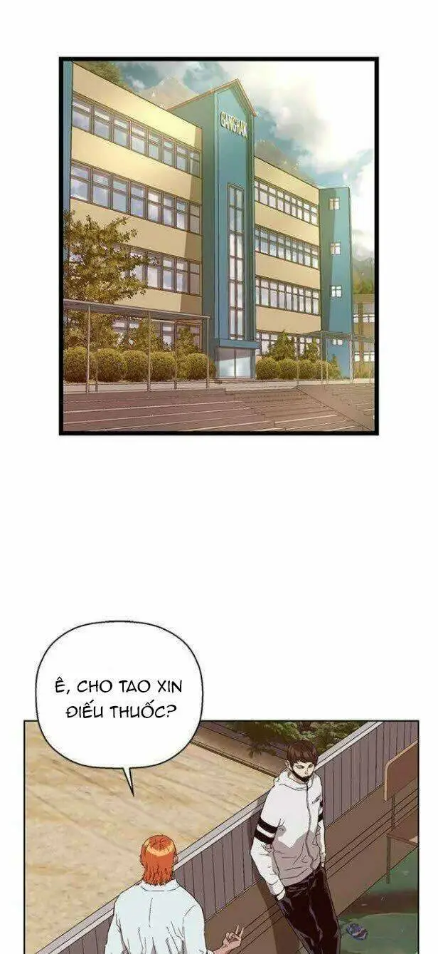 Chapter 146