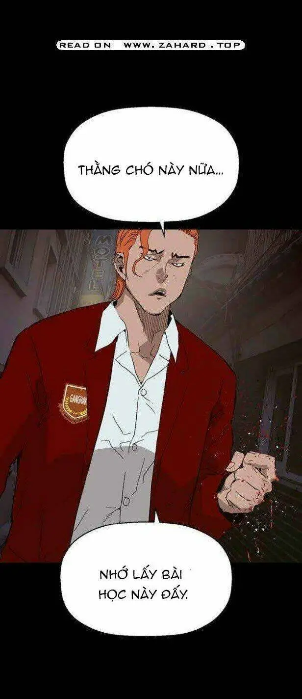 Chapter 146