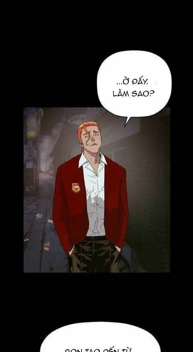 Chapter 146